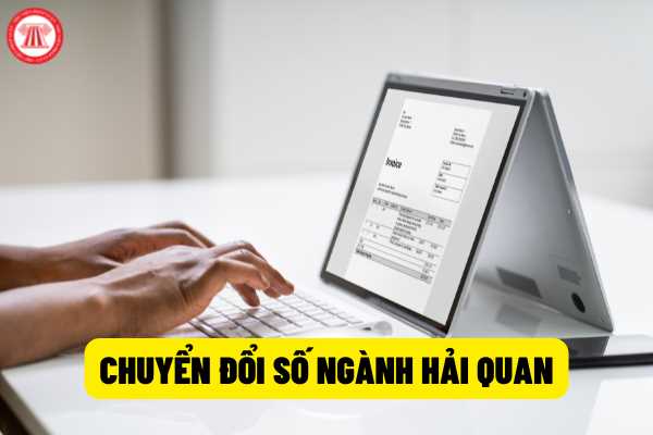 Thủ tục nhập khẩu phần mềm Hướng dẫn chi tiết từ A đến Z